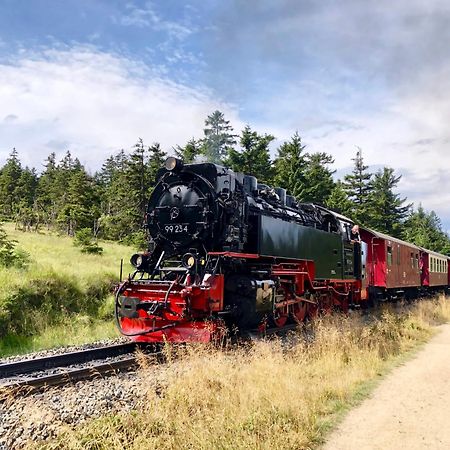 Fewo Fuchsbau Mit Dampfdusche #Kamin#Innenstadtnaehe#Netflix Von Harztraveler Бад Харцбург Екстериор снимка